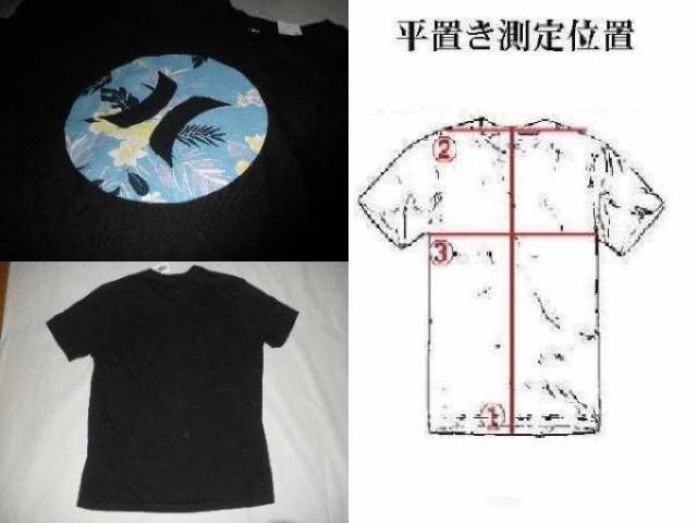 USAw T[tnyHurleyzPREMIUM FIT LOGOvgT US S BLK  uh 
