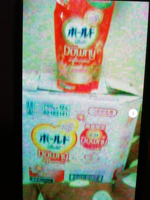 {`hDɁ`Ƃڏ_ܓ܋l֗p12_ʌ   CeA/Ct 