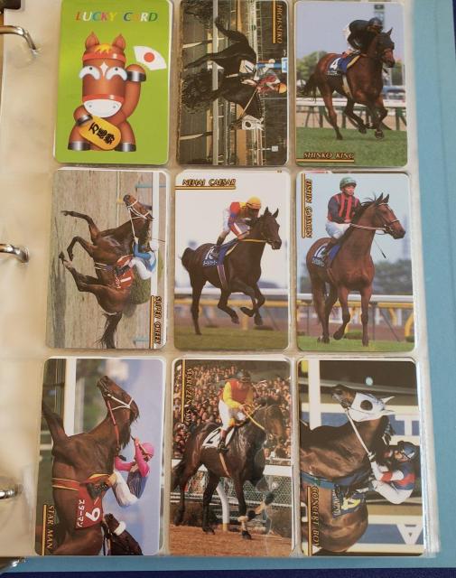 まねき馬 カードホルダーとカードのセット 第1〜13弾迄のカード < ホビー  まねき馬 カードホルダーとカードのセット 第1〜13弾迄のカード < ホビーの