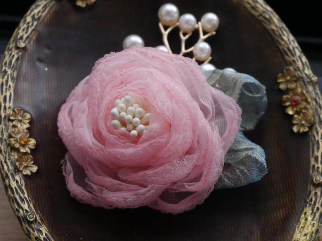 ViAeB[NGKg sNn KN  ~jRT[W u[`   ANZT[/v 