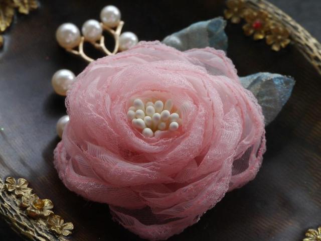 ViAeB[NGKg sNn KN  ~jRT[W u[`  ANZT[/v 