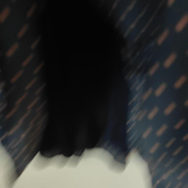 Vl}Nu nj[Y lCr[ hbg v[cOXJ[g  t@bV 