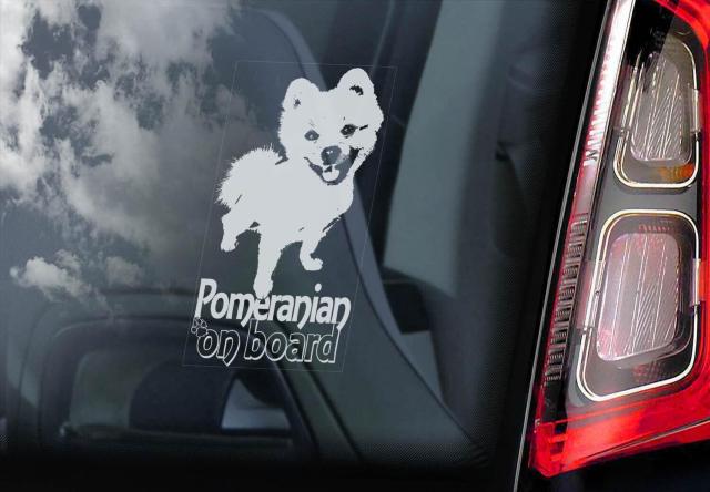 |jA IO J[XebJ[ 20~10cm O\ J[ XebJ[  V[  | |Vo VojA  /oCN