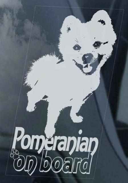 |jA IO J[XebJ[ 20~10cm O\ J[ XebJ[  V[  | |Vo VojA  /oCN