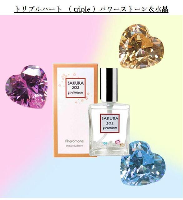 WF_[XtF@TN202v~A  /RX/lC 