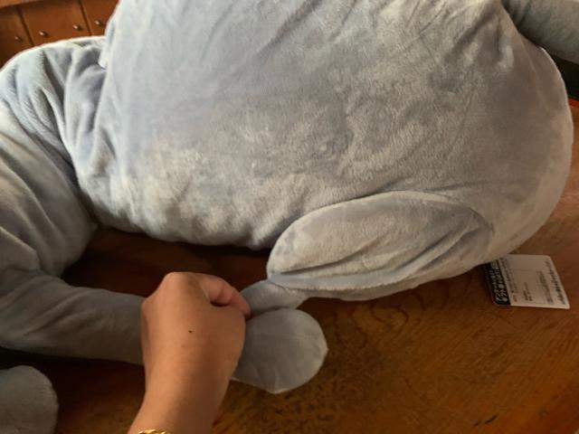 ���� BANDAI �D�F ?  �˂��ʂ������85cm �������� �� ��������� 