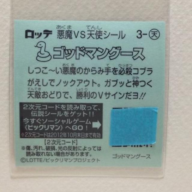 �r�b�N���}���`���P 3-�V  �S�b�h�}���O�[�X �� �z�r�[�� 