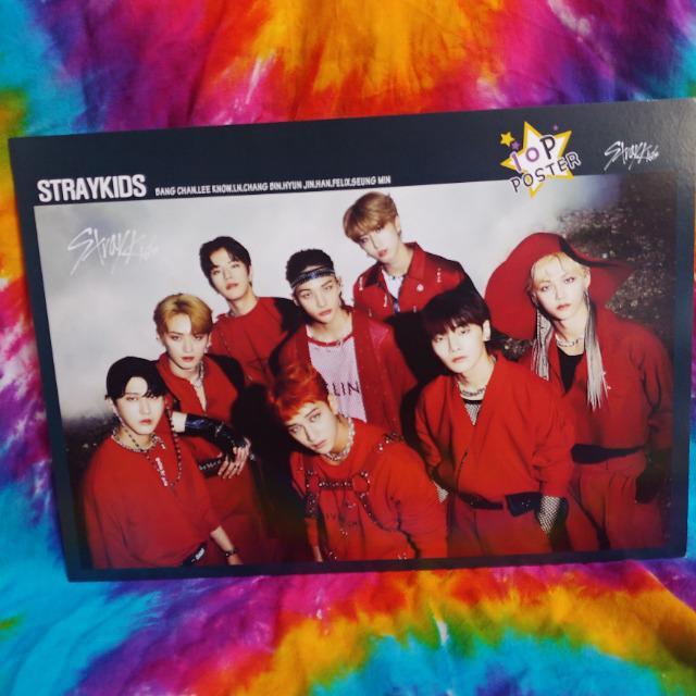 ストレイキッズ□スキズ□StrayKids□ポスター□バンチャンチャンビンリノハンヒョンジンフィリックススンミンアイエン < タレントグッズ  ストレイキッズ□スキズ□StrayKids□ポスター□バンチャンチャンビンリノハンヒョンジンフィリックススンミンアイエン  < タレントグッズの