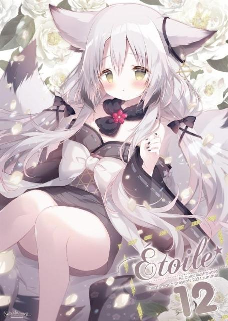 l Etoile12 炽܂ 炽 IWi C104 