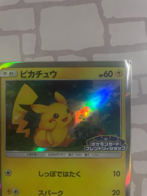 �t�����h���B�V���b�v �s�J�`���E �� �g���[�f�B���O�J�[�h�� 