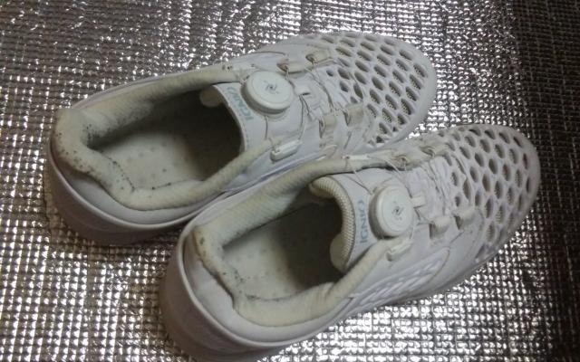 IGNIO@@QSATcm  jt@bV 