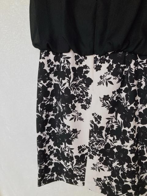 Liberty Hall tt m[X[u ԕ hbLO s[X M mg[ N2m  t@bV 