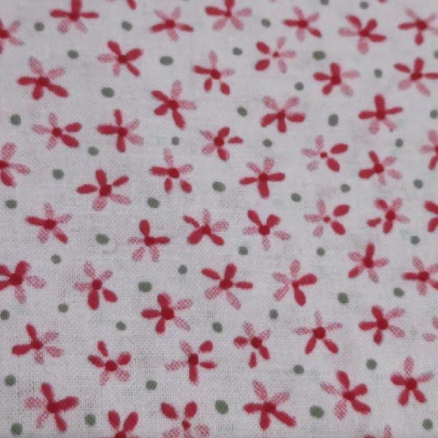 Vi JbgNX ԕ sNA ͂ꐶn   ybg/|/| 