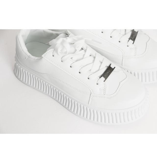  Vi Xj[J[ fB[X [Jbg  t@bV 