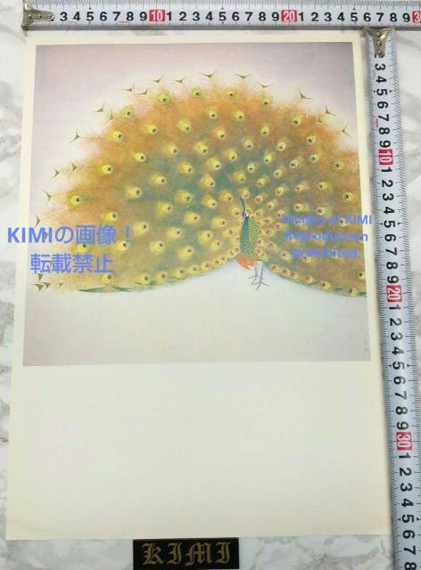|X^[ E 㑺 Ⴍ ނ 傤 Poster Peacock Shoko Uemura,Japanese  zr[ 
