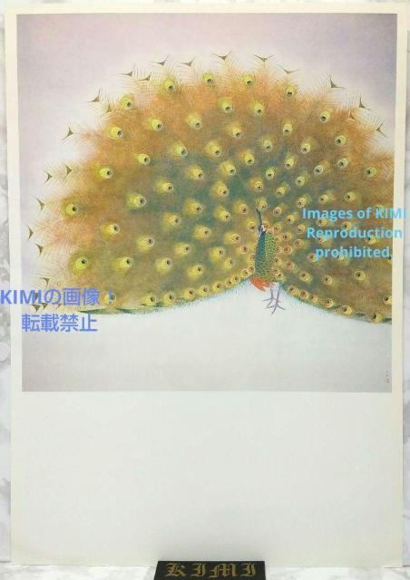 |X^[ E 㑺 Ⴍ ނ 傤 Poster Peacock Shoko Uemura,Japanese  zr[ 