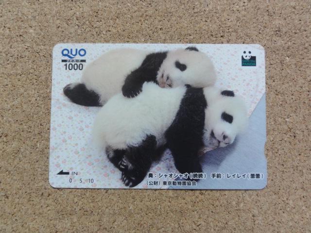 �N�I�J�[�h 1000�~ 1��(�V���I�V���I ���C���C) 