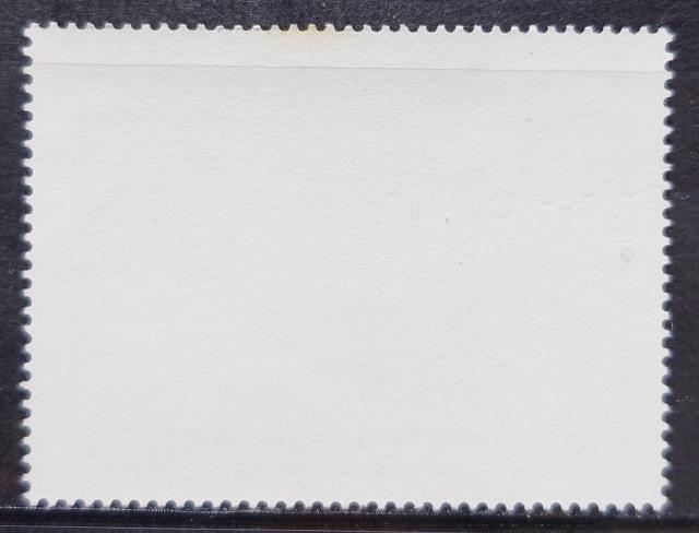 CO؎ gp؎ 1982N fBYj[ NX}X ^[NXEJCRX fBYj[f y~bL[̃NX}XLz  zr[ 