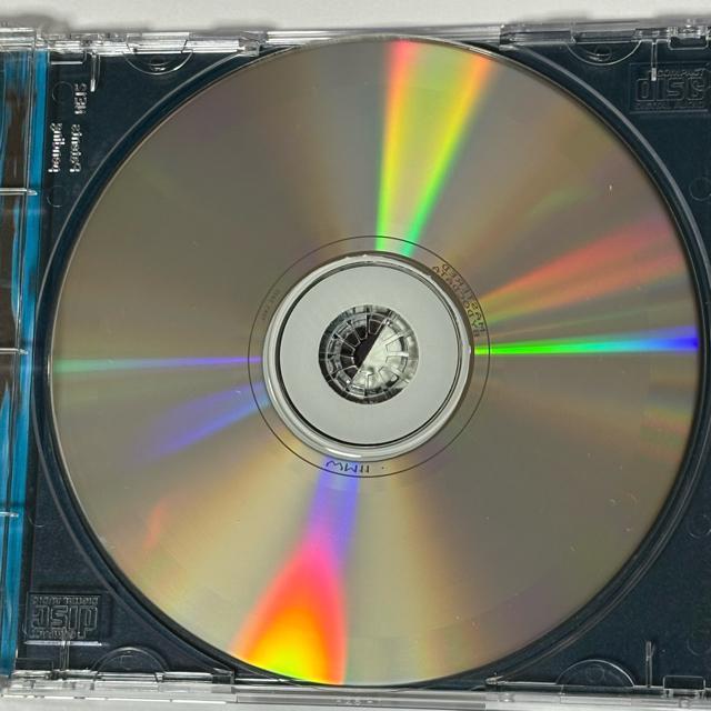 Pablo's Eye / All She Wants Grows Blue < CD/DVD/ビデオ  Pablo's Eye / All She Wants Grows Blue < CD/DVD/ビデオの