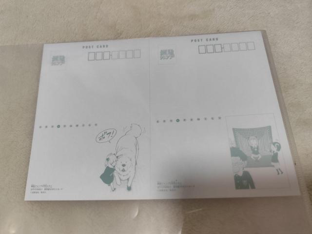 Ԃ XpCt@~[ NAt@CZbg@|XgJ[h  Aj/R~bN/LN^[ 