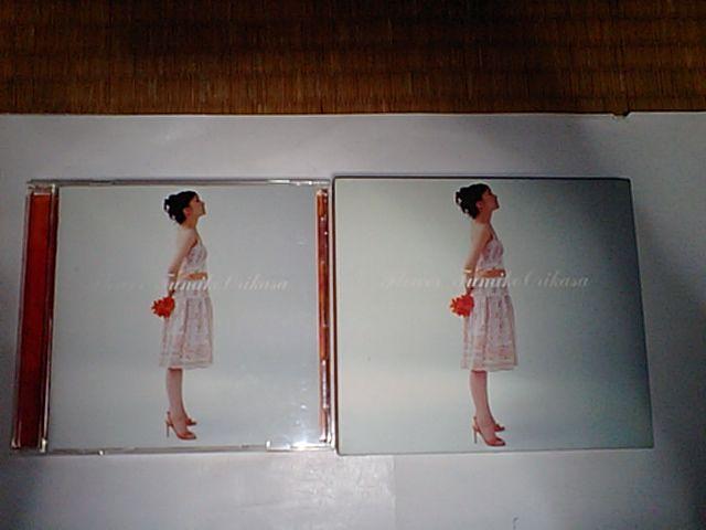 ܊}xq Flower    ^gObY 