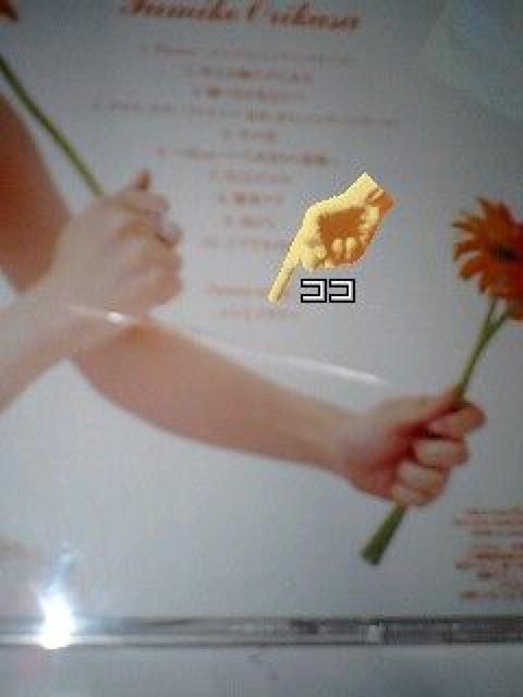܊}xq Flower   ^gObY 