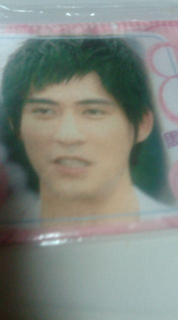 送料込みF4ヴィツク・チョウ化粧ポーチ < タレントグッズ 送料込みF4ヴィツク・チョウ化粧ポーチ < タレントグッズの