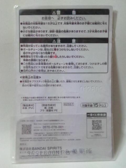 ĖڗFlԂ`jR搶T`G T`[RNV