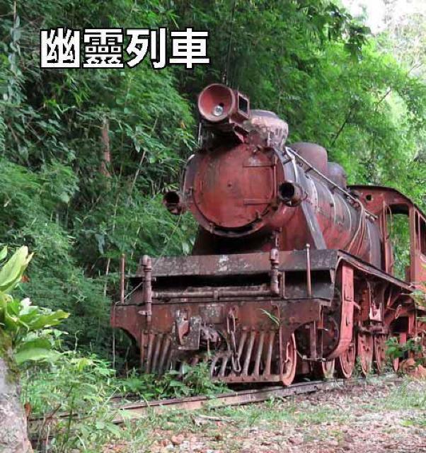 DVDHԁH˗  CD/DVD/rfI 