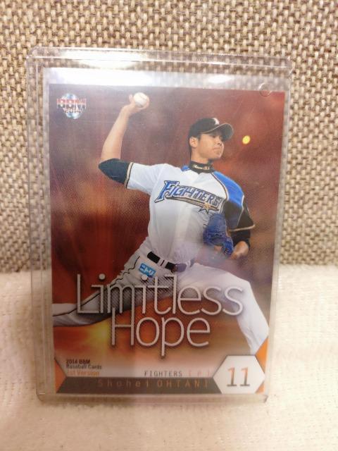 gp@n@Jĕ@BBMx[X{[J[h@2014   W[/X|[c 