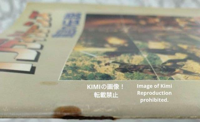 CfB W[Y {̓` f ptbg { 1984 CfBAi W[Y n\ tH[h Indiana  zr[ 