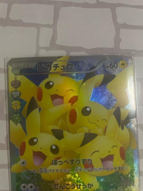 �|�P�L�����R���N�V���� �s�J�`���E �� �g���[�f�B���O�J�[�h�� 