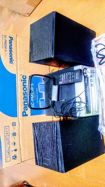 2021NwIPanasonic~jR|ASCPM-250A5NۏؕtAwtiSėLI 