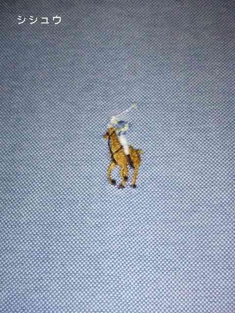□Ralph Lauren/ポロ・ラルフローレン 希少 9分袖 シャツ/メンズ☆新品 < ブランド  □Ralph Lauren/ポロ・ラルフローレン 希少 9分袖 シャツ/メンズ☆新品 < ブランドの