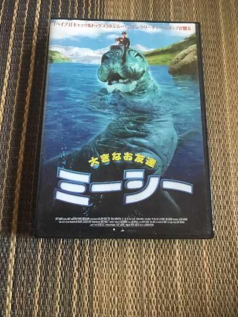 ミーシー < CD/DVD/ビデオ ミーシー < CD/DVD/ビデオの