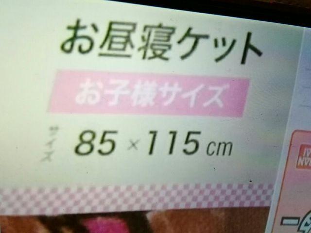 ぺこちゃん、ぽコちゃんお昼寝ケットお子様サイズ85p×115p < ホビー  ぺこちゃん、ぽコちゃんお昼寝ケットお子様サイズ85p×115p < ホビーの