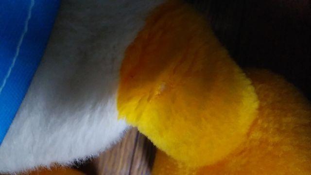 ドナルドダックのぬいぐるみ < おもちゃ  ドナルドダックのぬいぐるみ < おもちゃの