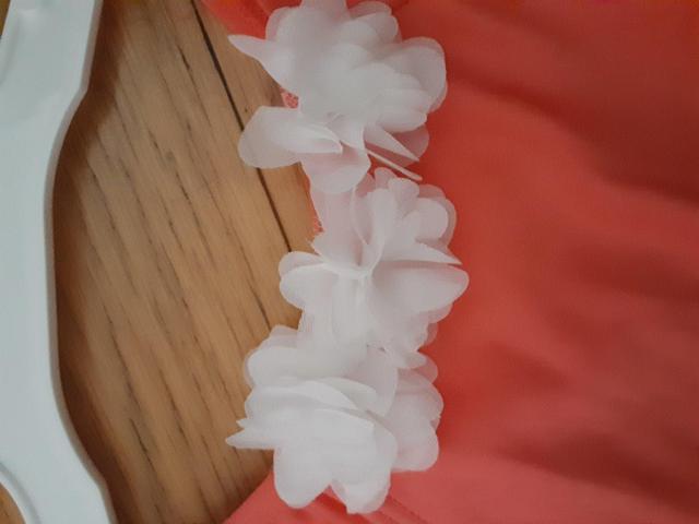 �V�i���g�p�@���� �� �L�b�Y/�x�r�[�� 