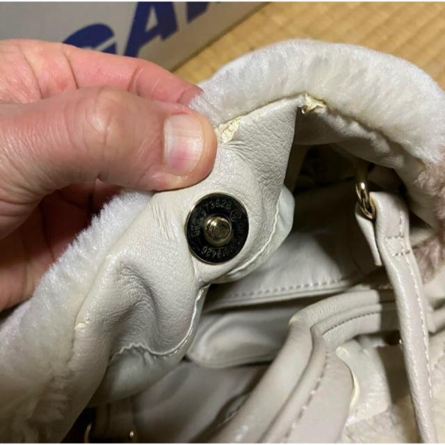 y1~X^[gzyear PAPILLONNERz CApsl / nhobO |[`t