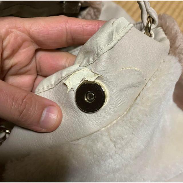 y1~X^[gzyear PAPILLONNERz CApsl / nhobO |[`t