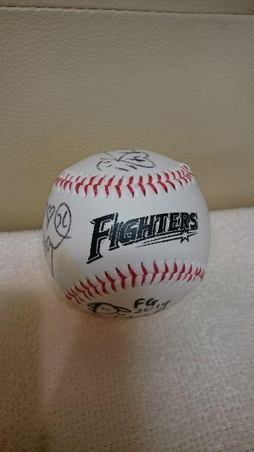 AIn t@C^[YK[ 2014NxAMTC{[ 5   W[/X|[c 