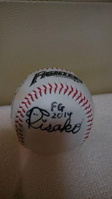 AIn t@C^[YK[ 2014NxAMTC{[ 5  W[/X|[c 