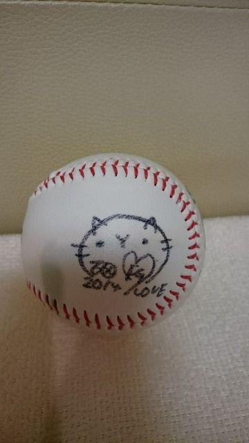 AIn t@C^[YK[ 2014NxAMTC{[ 5  W[/X|[c 