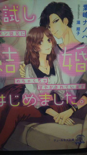 お試し結婚はじめました★葉嶋ナノハ★チュールキス文庫 < 本/雑誌  お試し結婚はじめました★葉嶋ナノハ★チュールキス文庫  < 本/雑誌の