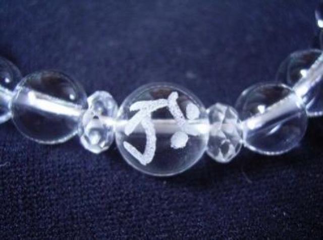 NEЁiEƂjN@󑠕F{uXbg  jANZT[/v 