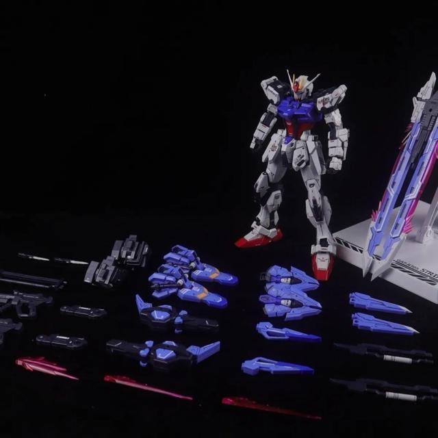 yWUJI MODELz1/100 MG \[hXgCN (hSRVer.) g vf Vi 