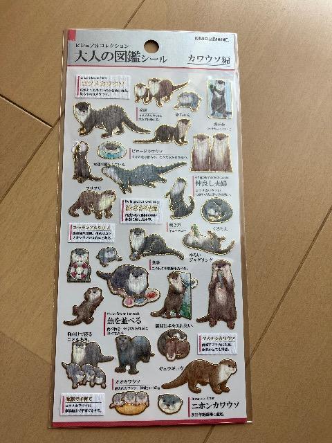 大人の図鑑 カワウソ シール 未使用 < インテリア/ライフ  大人の図鑑 カワウソ シール 未使用  < インテリア/ライフの