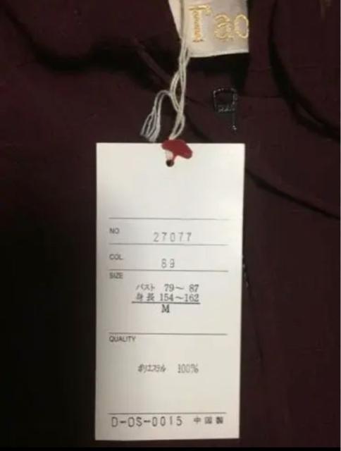 赤茶系 透け素材 ファスナー前開き 長袖パーカー < 女性ファッション  赤茶系 透け素材 ファスナー前開き 長袖パーカー < 女性ファッションの