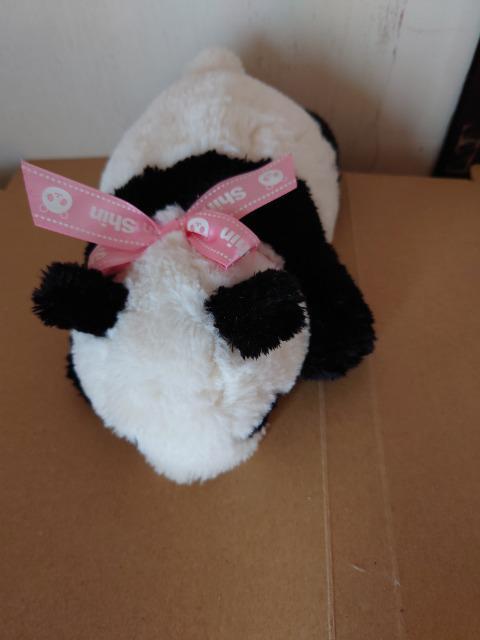 ���p���_�V���V���ʂ������  �� ��������� 