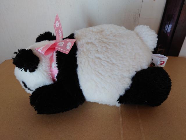 ���p���_�V���V���ʂ������ �� ��������� 